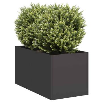 Stylish Black Planter 40x80x40 cm - Cold-rolled Steel