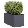  Planter Anthracite 40x80x40 cm Cold-rolled Steel Colour steel/anthracite Size 40 x 80 x 40 cm Quantity in Package 1 