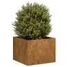  Planter Rusty 40x40x30 cm Weathering Steel Colour weathering steel Size 40 x 40 x 30 cm Quantity in Package 1 