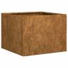 Planter Rusty 40x40x30 cm - Stylish Weathering Steel Planter