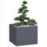  Planter Anthracite 100x100x80 cm Steel Colour steel/anthracite Size 100 x 100 x 80 cm Quantity in Package 1 