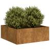  Planter Rusty 80x80x30 cm Weathering Steel Colour weathering steel Size 80 x 80 x 30 cm Quantity in Package 1 