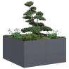  Planter Anthracite 80x80x40 cm Cold-rolled Steel Colour steel/anthracite Size 80 x 80 x 40 cm Quantity in Package 1 