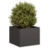  Planter Black 40x40x30 cm Steel Colour steel/black Size 40 x 40 x 30 cm Quantity in Package 1 