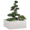  Planter 100x100x40 cm Stainless Steel Colour stainless steel/light grey Size 100 x 100 x 40 cm Quantity in Package 1 