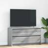  TV Cabinet Grey Sonoma 100x35x54 cm Engineered Wood Colour grey sonoma Quantity in Package 1 Width 100 cm 