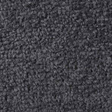 Durable Anthracite Doormat 90x120 cm – Perfect for High Traffic