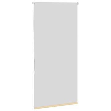 Beige Blackout Roller Blind 65x175 cm | HipoMarket UK