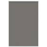  Roller Blind Blackout Grey 160x210 cm Fabric Width 156.6 cm Polyester Colour grey Size 160 x 210 cm 