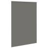 Roller Blind Blackout Grey 165x210 cm - Stylish & Functional