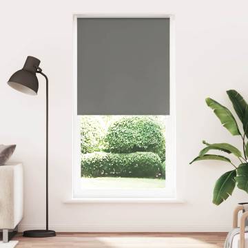 Roller Blind Blackout Grey 110x230 cm - Durable & Stylish