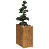  Planter Rusty 40x80x80 cm Weathering Steel Colour weathering steel/brown Size 40 x 80 x 80 cm Quantity in Package 1 