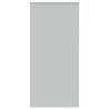  Roller Blind Blackout Light Grey 105x210 cm Fabric Width 100.7 cm Polyester Colour light grey Size 105 x 210 cm 