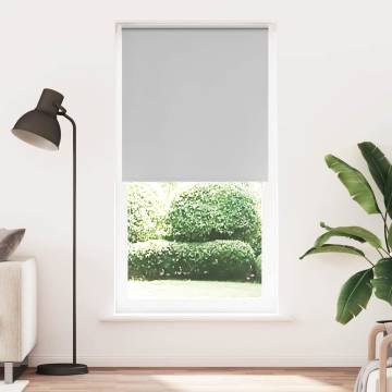 Light Grey Roller Blind Blackout 105x210 cm - HipoMarket UK