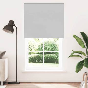 Light Grey Blackout Roller Blind 140x210 cm - Stylish Privacy