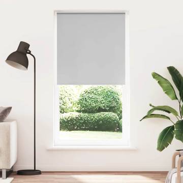 Light Grey Roller Blind 115x210 cm | Blackout & Durable Design