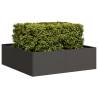  Planter Black 100x100x30 cm Steel Colour steel/black Size 100 x 100 x 30 cm Quantity in Package 1 