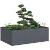  Planter Anthracite 120x80x40 cm Steel Colour steel/anthracite Size 120 x 80 x 40 cm Quantity in Package 1 