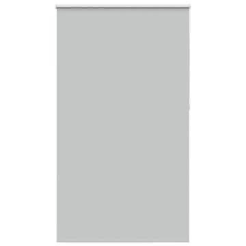 Light Grey Roller Blind Blackout 125x210 cm | Hipomarket