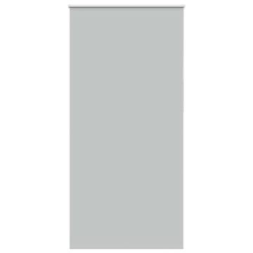 Light Grey Blackout Roller Blind 100x230 cm - Hipomarket UK