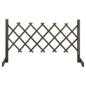 Garden Trellis Fence Grey - 120x60 cm Solid Firwood