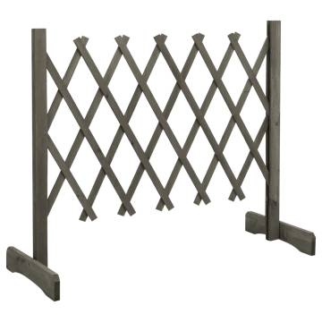 Garden Trellis Fence Grey - 120x60 cm Solid Firwood