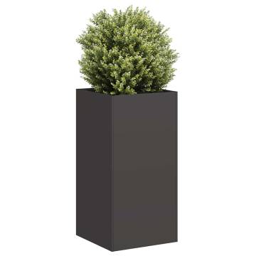 Stylish Black Planter 40x40x80 cm - Durable Cold-Rolled Steel