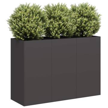 Stylish Black Planter 120x40x80 cm - Cold-Rolled Steel