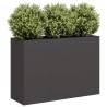  Planter Black 120x40x80 cm Cold-rolled Steel Colour steel/black Size 120 x 40 x 80 cm Quantity in Package 1 