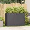 Stylish Black Planter 120x40x80 cm - Cold-Rolled Steel