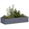  Planter Anthracite 200x80x40 cm Steel Colour steel/anthracite Size 200 x 80 x 40 cm Quantity in Package 1 