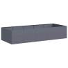 Stylish Anthracite Steel Planter 200x80x40 cm | HipoMarket