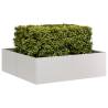  Planter 100x100x30 cm Stainless Steel Colour stainless steel Size 100 x 100 x 30 cm Quantity in Package 1 