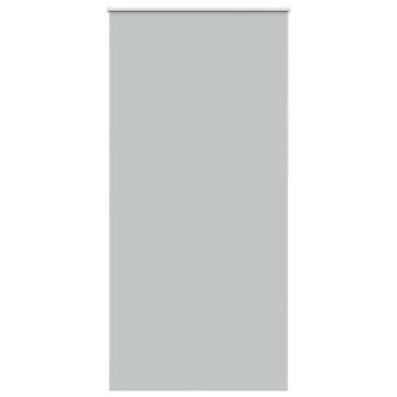 Blackout Roller Blind Light Grey 105x230 cm - Stylish Privacy