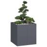  Planter Anthracite 80x80x80 cm Steel Colour steel/anthracite Size 80 x 80 x 80 cm Quantity in Package 1 