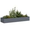  Planter Anthracite 280x80x40 cm Steel Colour steel/anthracite Size 280 x 80 x 40 cm Quantity in Package 1 