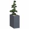  Planter Anthracite 40x80x80 cm Steel Colour steel/anthracite Size 40 x 80 x 80 cm Quantity in Package 1 