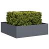 Stylish Anthracite Steel Planter 100x100x30 cm | HipoMarket