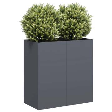 Stylish Anthracite Planter | Cold-Rolled Steel | 80x40x80 cm