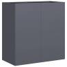 Stylish Anthracite Planter | Cold-Rolled Steel | 80x40x80 cm