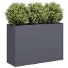  Planter Anthracite 120x40x80 cm Cold-rolled Steel Colour steel/anthracite Size 120 x 40 x 80 cm Quantity in Package 1 