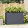 Stylish Anthracite Planter - Cold-rolled Steel | Hipomarket