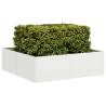  Planter White 100x100x30 cm Steel Colour steel/white Size 100 x 100 x 30 cm Quantity in Package 1 