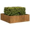  Planter Rusty 100x100x30 cm Weathering Steel Colour weathering steel Size 100 x 100 x 30 cm Quantity in Package 1 