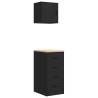 Garage Cabinets (2 pcs) - Stylish Black Engineered Wood Storage