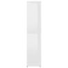 High Gloss White Shoe Cabinet - Stylish Storage Solution