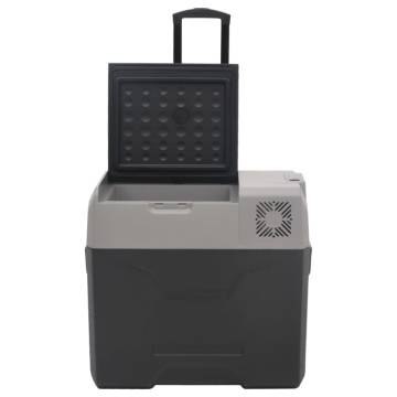 Portable 40L Cool Box with Wheels & Adapter - Black & Grey