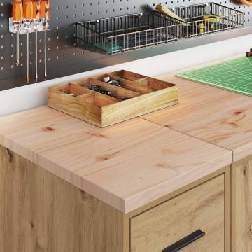 Garage Cabinets 2 pcs Artisan Oak | Organize Your Space