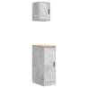 Garage Cabinets 2 pcs Concrete Grey | Durable Storage Solution