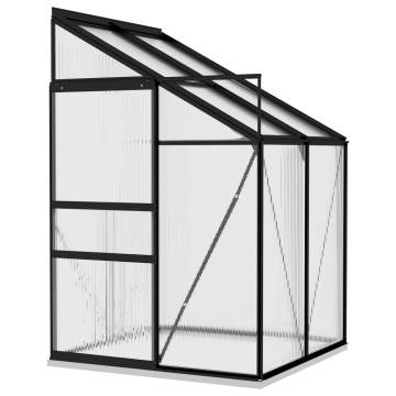 Anthracite Aluminium Greenhouse 2.7 m³ | Hipomarket UK